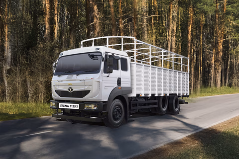 tata-signa-3125t
